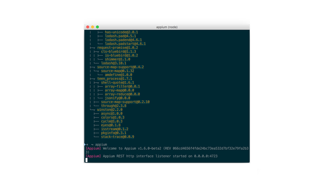 How to Do Test Automation With Appium for iOS | Talent500 blog