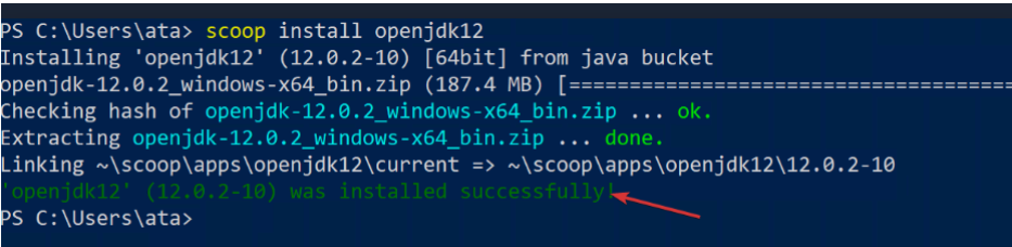 openjdk12