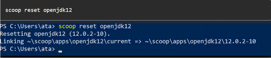Java12