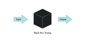 Black Box Testing vs White Box Testing in Software Engineering